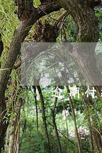 逾期付款通告 逾期付款通告