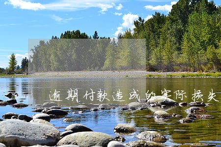 逾期付款造成的实际损失