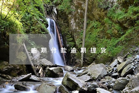 逾期付款逾期提货 逾期付款逾期提货