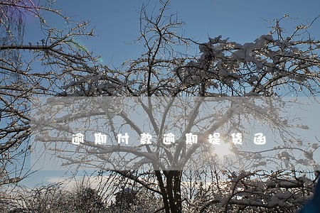 逾期付款逾期提货函 逾期付款逾期提货函
