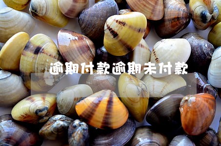 逾期付款逾期未付款 逾期付款逾期未付款