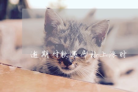 逾期付款遇价格上涨时 逾期付款遇价格上涨时