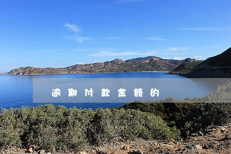 逾期付款金额的 逾期付款金额的