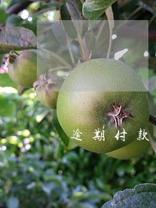 逾期付款银行利息怎么算的 逾期付款银行利息怎么算的