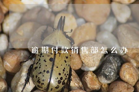 逾期付款销售部怎么办 逾期付款销售部怎么办