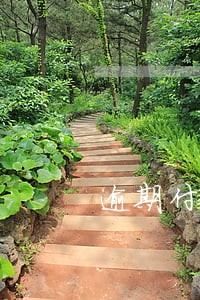 逾期付款顸是什么意思 逾期付款顸是什么意思