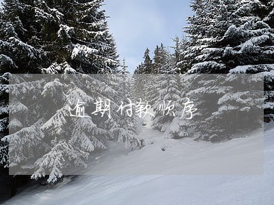 逾期付款顺序 逾期付款顺序