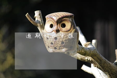 逾期付汇申报 逾期付汇申报