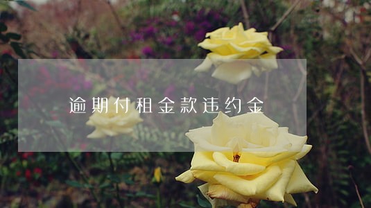 逾期付租金款违约金 逾期付租金款违约金