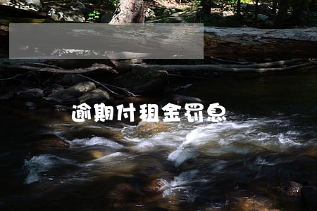 逾期付租金罚息 逾期付租金罚息