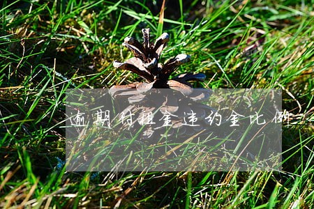 逾期付租金违约金比例 逾期付租金违约金比例