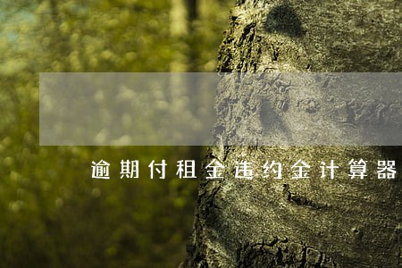 逾期付租金违约金计算器 逾期付租金违约金计算器