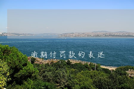 逾期付罚款的表述 逾期付罚款的表述
