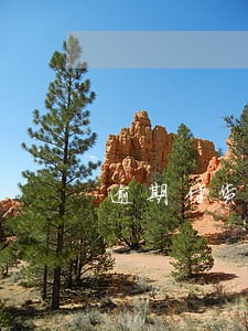 逾期付货买方可以解除合同案例 逾期付货买方可以解除合同案例