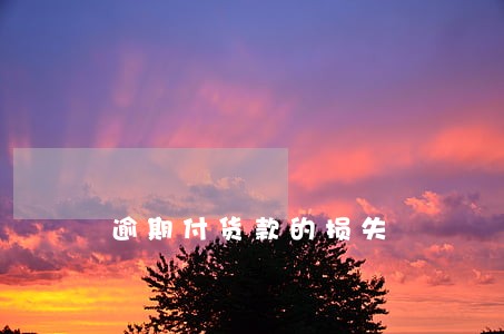 逾期付货款的损失