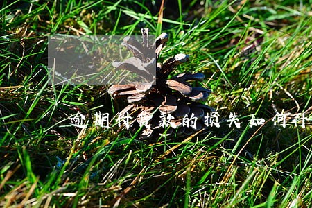 逾期付货款的损失如何计算 逾期付货款的损失如何计算