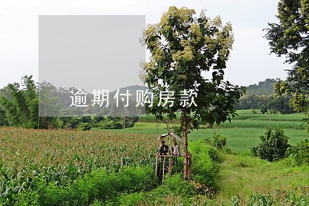 逾期付购房款 逾期付购房款