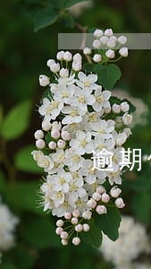 逾期付费赔偿多少 逾期付费赔偿多少
