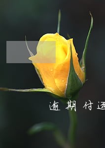 逾期付运费滞纳金最高多少 逾期付运费滞纳金最高多少
