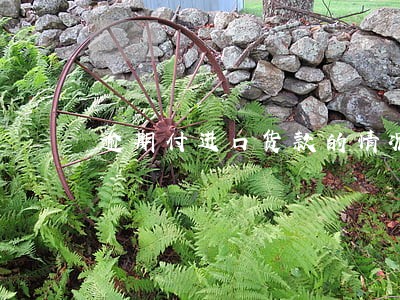 逾期付进口货款的情况说明 逾期付进口货款的情况说明