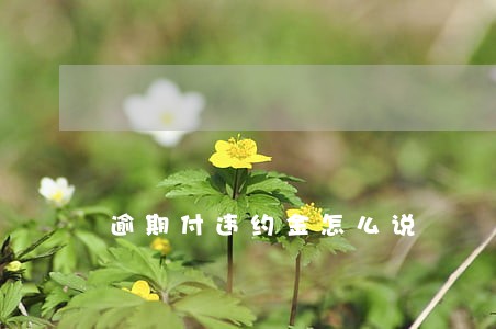 逾期付违约金怎么说 逾期付违约金怎么说
