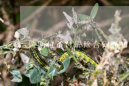 逾期付首付解除合同通知书 逾期付首付解除合同通知书