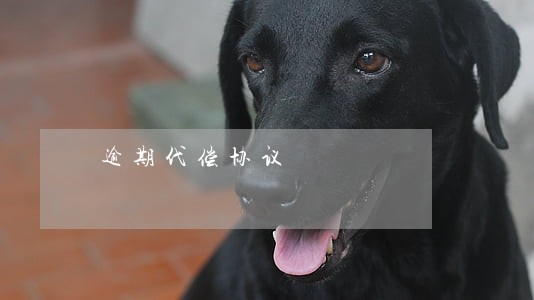 逾期代偿协议