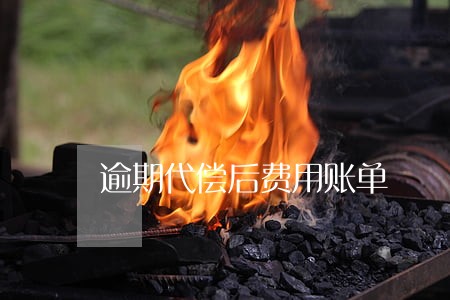 逾期代偿后费用账单