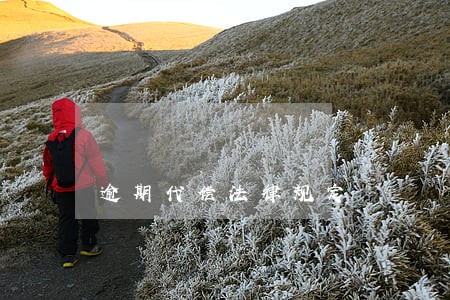 逾期代偿法律规定 逾期代偿法律规定