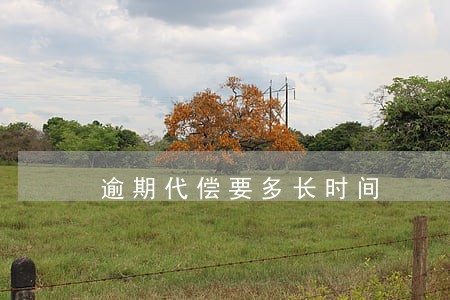 逾期代偿要多长时间
