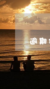 逾期代偿记录