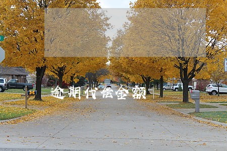 逾期代偿金额 逾期代偿金额