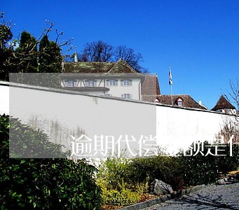 逾期代偿金额是什么 逾期代偿金额是什么