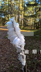 逾期代扣代缴影响信用等级吗 逾期代扣代缴影响信用等级吗