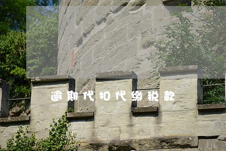 逾期代扣代缴税款 逾期代扣代缴税款