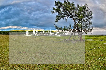逾期代接电话 逾期代接电话