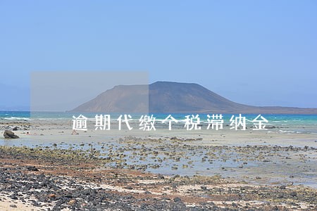 逾期代缴个税滞纳金 逾期代缴个税滞纳金