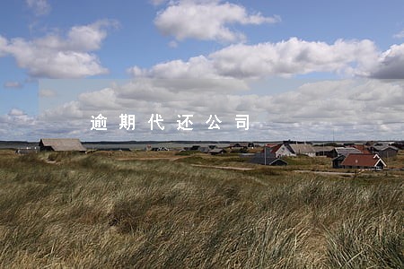 逾期代还公司