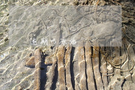 逾期以冻结 逾期以冻结