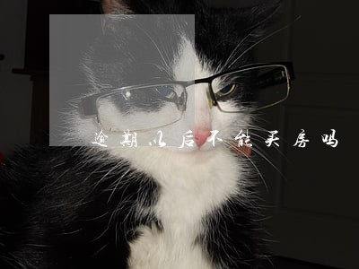 逾期以后不能买房吗
