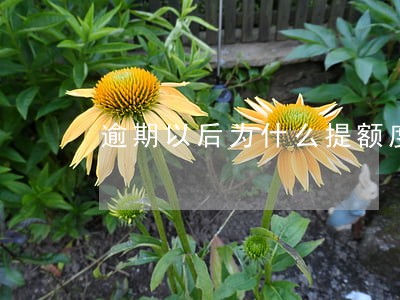 逾期以后为什么提额度 逾期以后为什么提额度