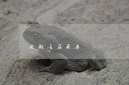 逾期以后买房 逾期以后买房