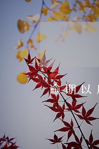 逾期以后买房买车