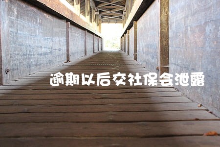 逾期以后交社保会泄露