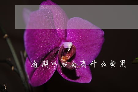 逾期以后会有什么费用 逾期以后会有什么费用
