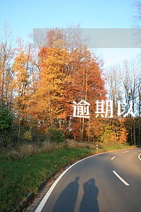 逾期以后会短信发给通讯录吗