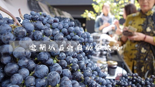逾期以后会自动扣款吗 逾期以后会自动扣款吗
