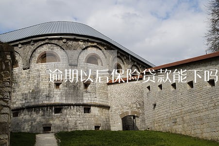 逾期以后保险贷款能下吗 逾期以后保险贷款能下吗
