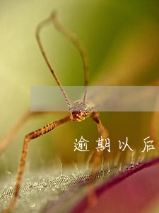 逾期以后借款还能借 逾期以后借款还能借
