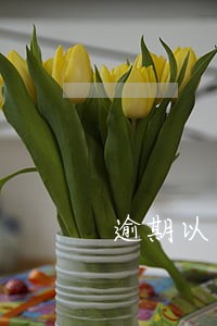 逾期以后催收电话接不接